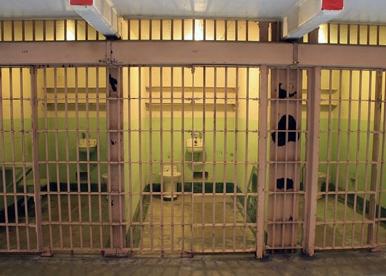 Real Prison Time in Australia for Nazi Salutes, Hate Symbols Now