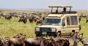 Africa Tourism Surges with 74 Million Visitors in 2024