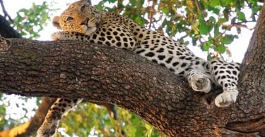 East African Community: Unified Tourism Destination at ITB Berlin