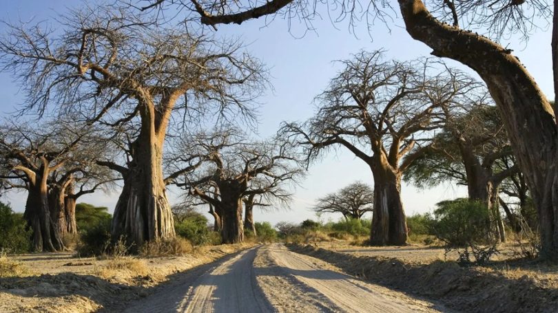 Njem nlegharị anya nke Tanzania na-enweta $150M n'ihe gbasara mmejọ ikike mmadụ ndị eboro ebubo