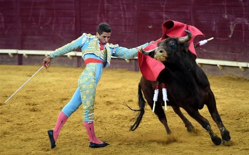 No More Bloody Bullfights for Mexico City Tourists