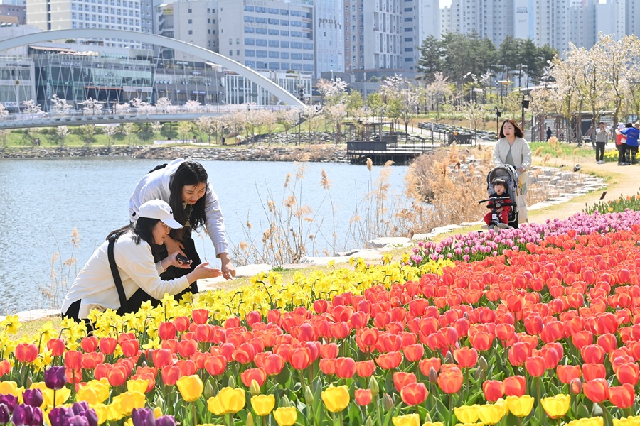 Mamorona fahatsiarovana sarobidy 4 Fitsidihana, fizahan-tany ary fomba fiaina ny dia ny Fianakaviana mankany Hanam City Korea 2 | eTurboNews | eTN