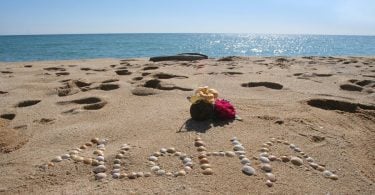 aloha - image courtesy of bibianagonzalez from Pixabay