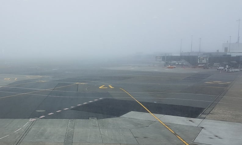 Жаңа Зеландияда төтенше жағдай жарияланды, Веллингтон әуежайы жабылды