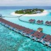 image courtesy of standardhotels
