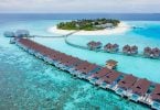 image courtesy of standardhotels