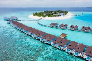 image courtesy of standardhotels