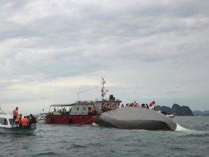 Vietnam Boat