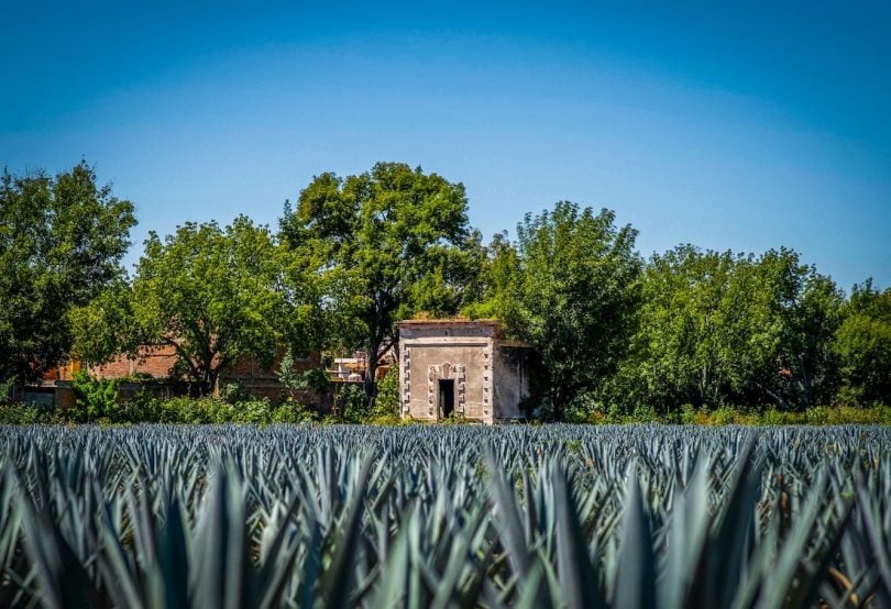 townsMEX | eTurboNews | eTN