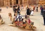 Ride a camel in Jordan