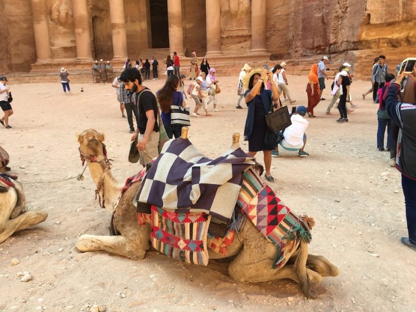 Ratsasta kamelilla Jordaniassa