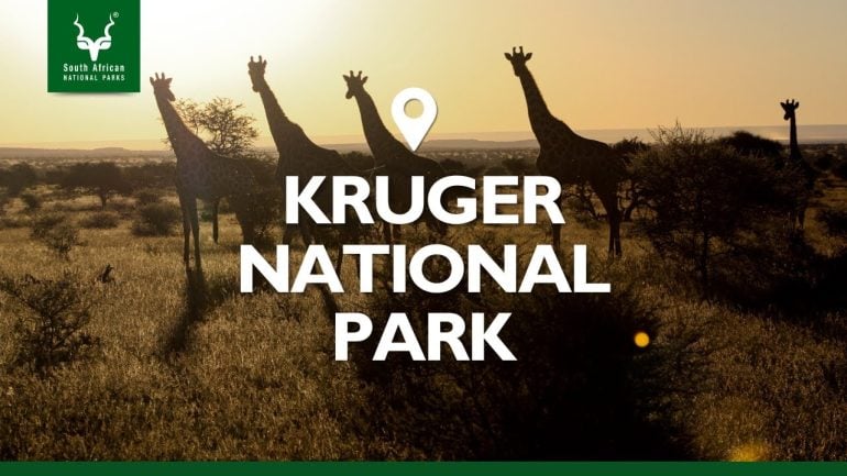 La fin du parc national Kruger en Afrique du Sud est en vue