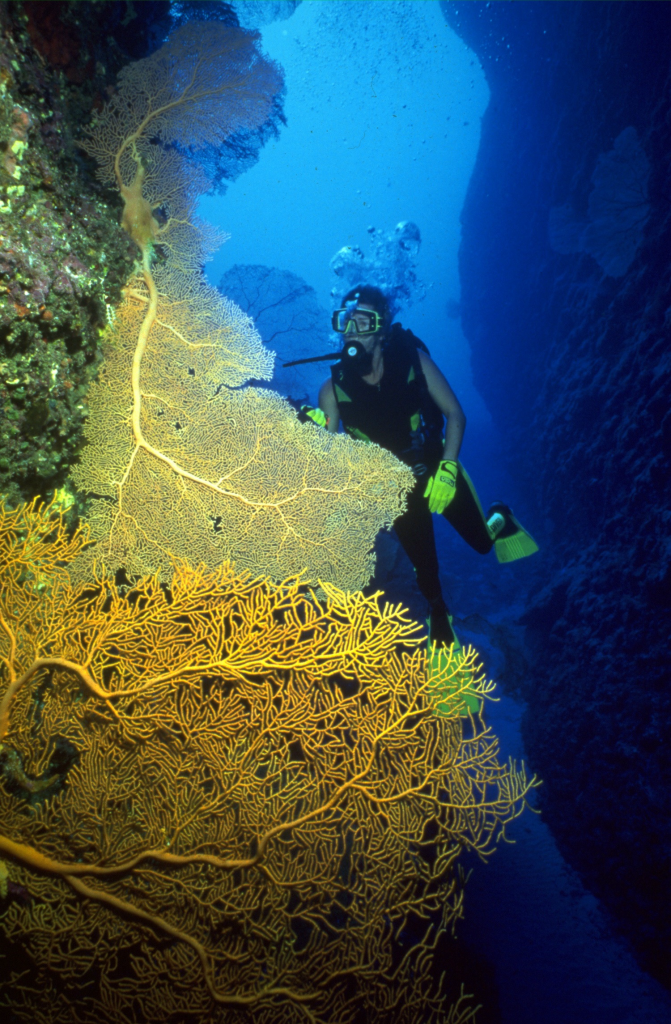 imagen 3 | eTurboNews | eTN