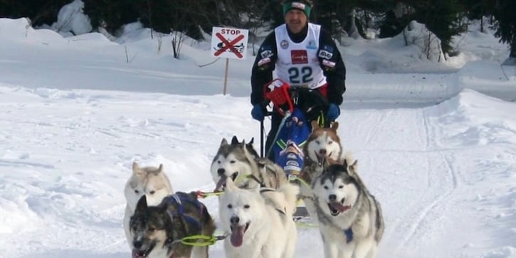 كلب سلوفاكيا