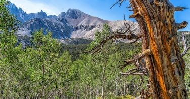 Descubra el Parque Nacional de la Gran Cuenca en Nevada: remoto, tranquilo e impresionante. Descubra cómo llegar, quién lo visita y por qué vale la pena el viaje.