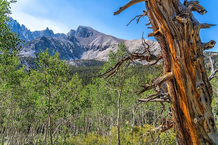 Entdecken Sie den Great-Basin-Nationalpark in Nevada – abgelegen, ruhig und atemberaubend. Erfahren Sie, wie Sie dorthin gelangen, wer ihn besucht und warum sich die Reise lohnt.