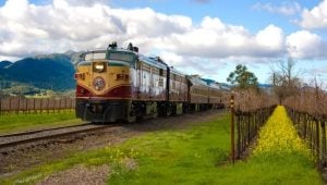 Napa Valley v plném květu: Kouzlo sezóny hořčice a zlaté výročí na kolejích 19 Cestovní a turistické zprávy – globální, důvěryhodné, nezávislé Nappatrain