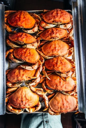 Crab lined up Fog Harbor | eTurboNews | eTN