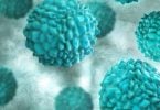 Novovirus
